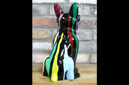 Multi Colour Dog With Shades