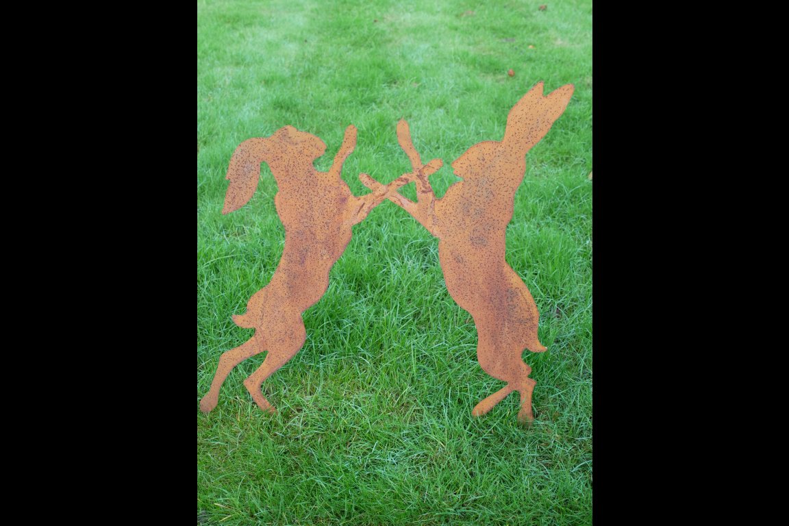 Rusty Fighting Hares Stake