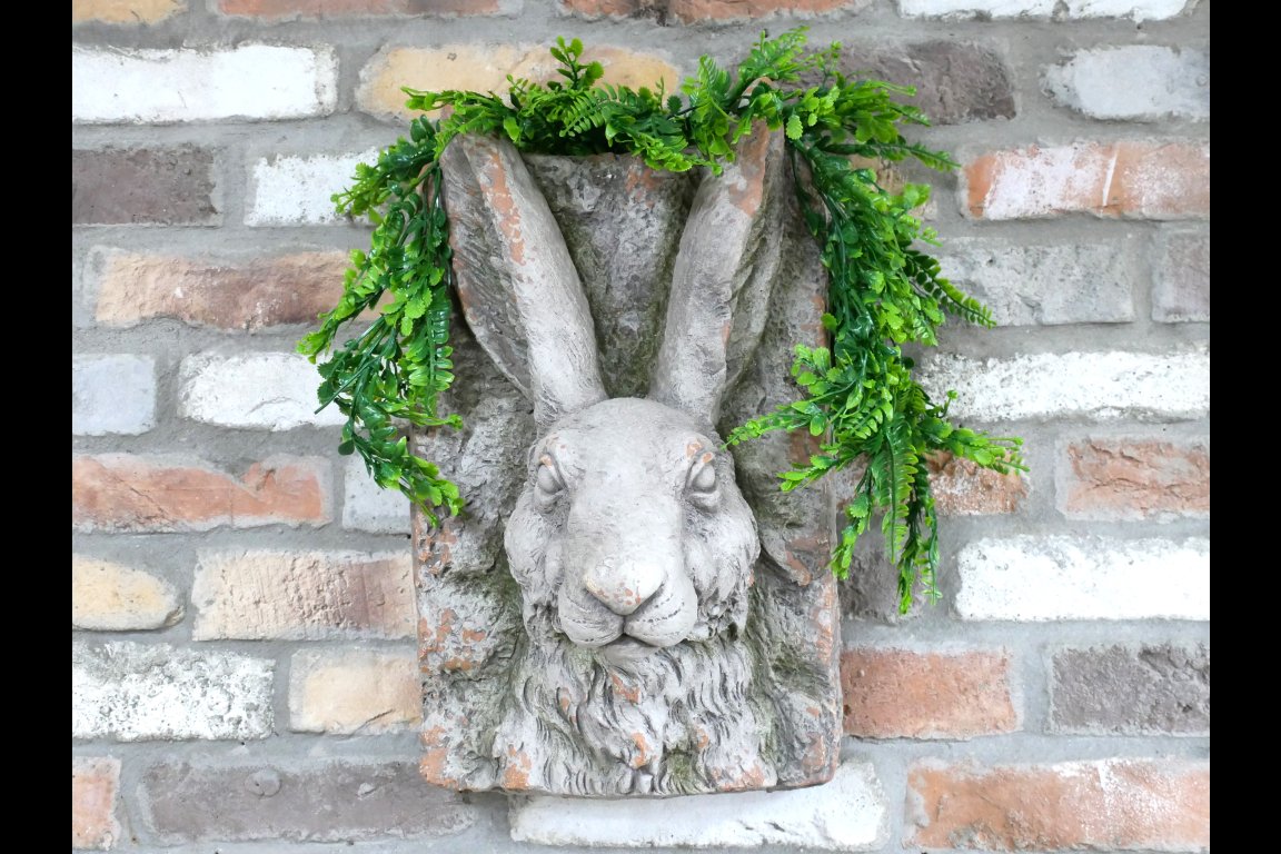 Rabbit Head