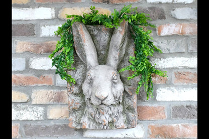 Rabbit Head
