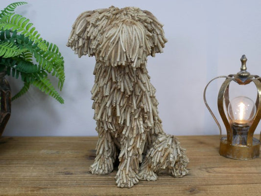 Sitting Shaggy Dog