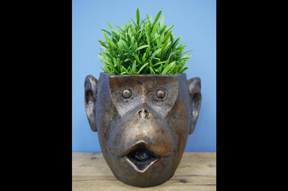 Monkey Head Planter