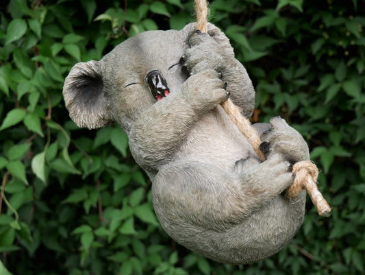 Hanging Koala