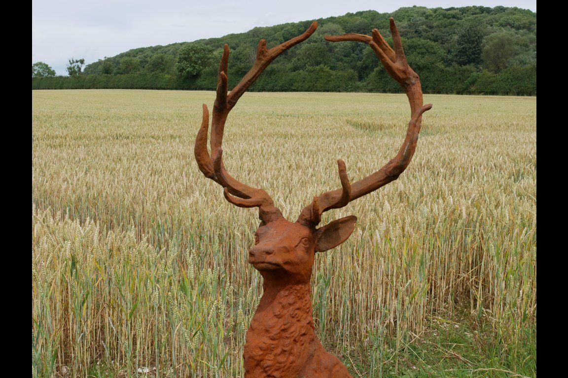 Rusty Stag
