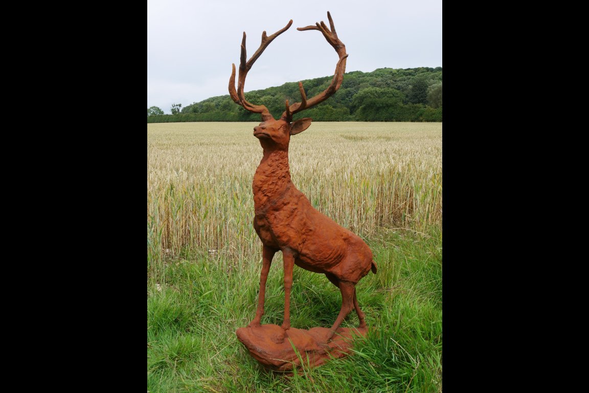 Rusty Stag
