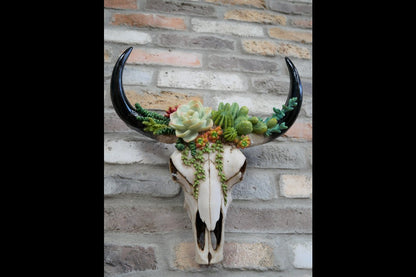 Skull Wall Decoration - Large