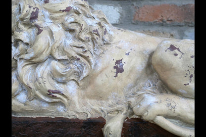Sleeping Lion