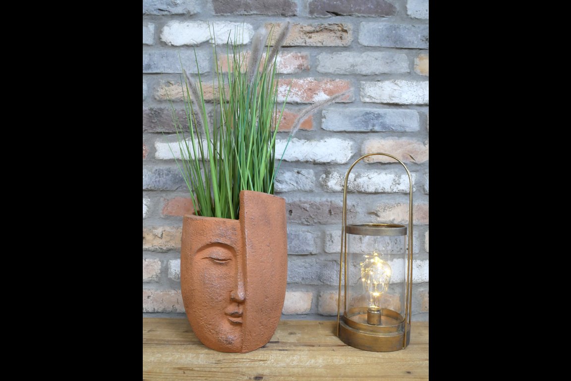 Face Planter