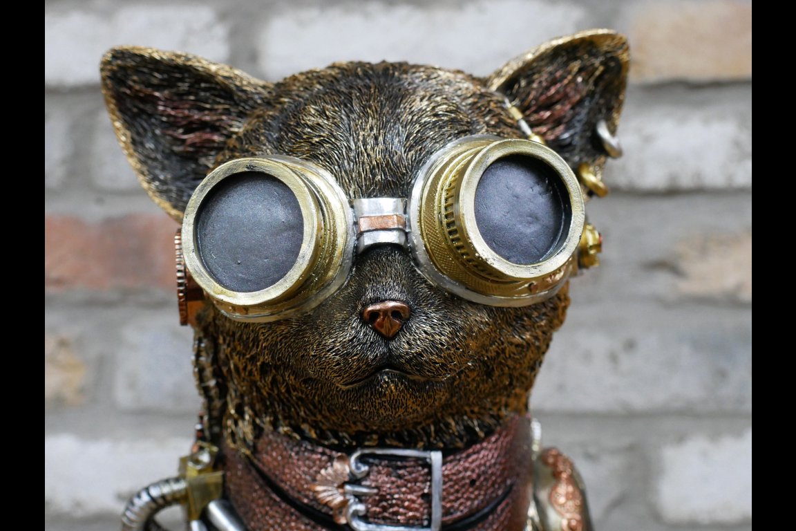 Steampunk Cat