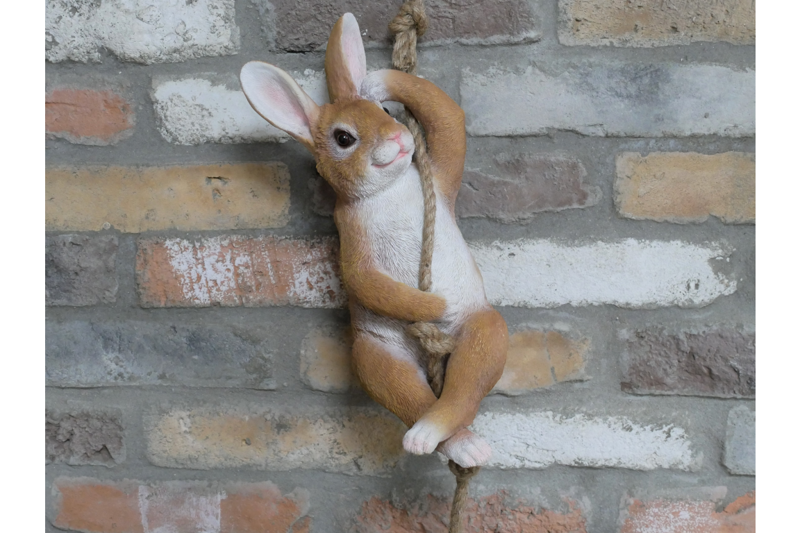 Hanging Rabbit