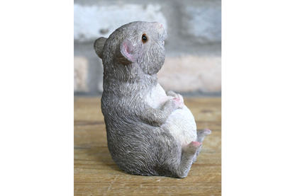 Fat Mouse