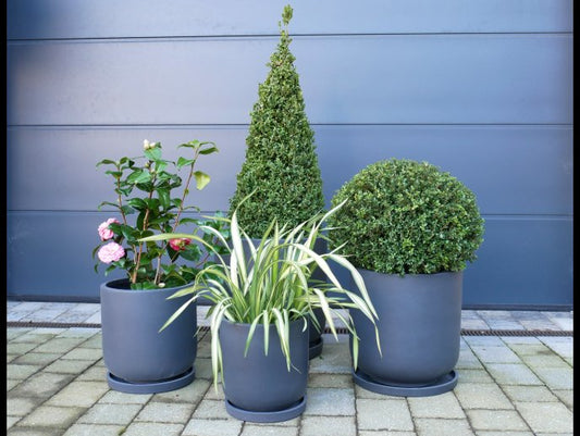 Set Of 4 Planters With Saucers