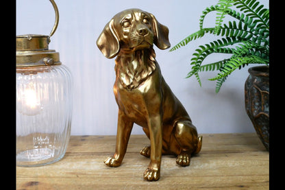 Golden Dog