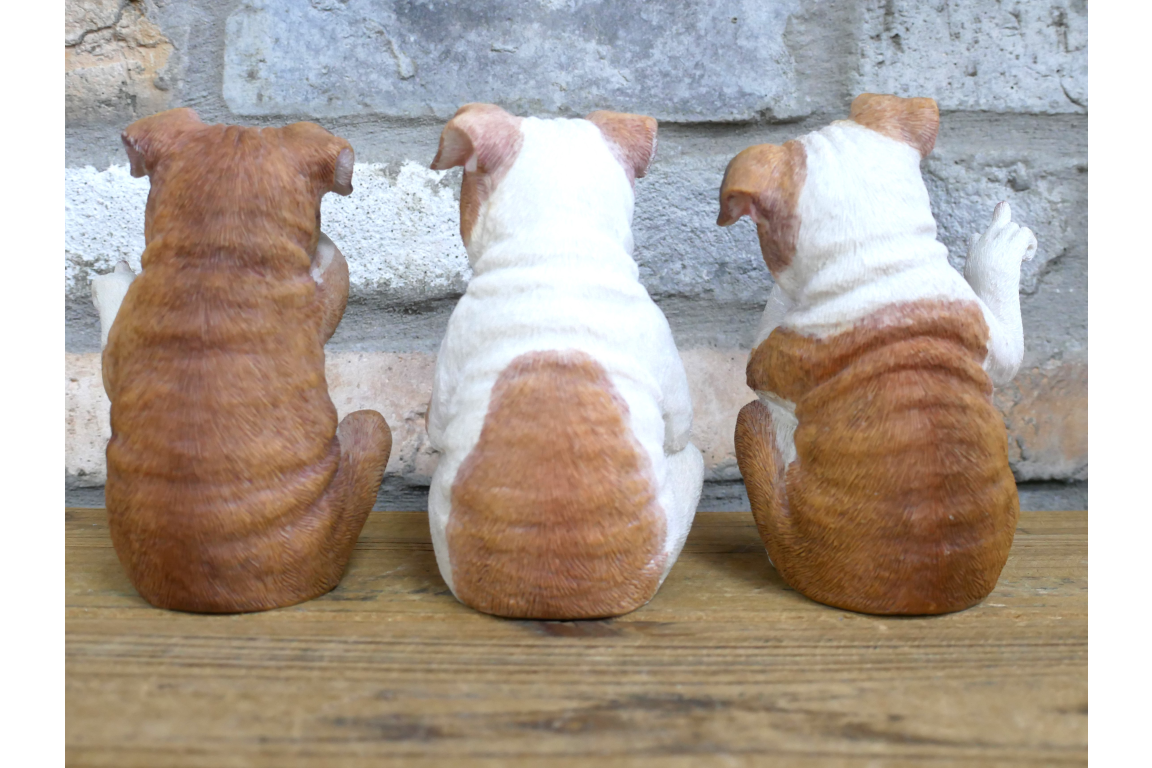 Who Done It Bulldogs (Set of 3)