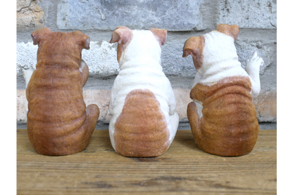 Who Done It Bulldogs (Set of 3)