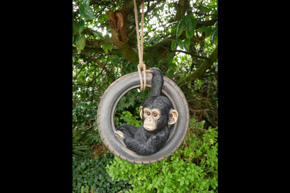 Chimpanzee On Tyre Swing