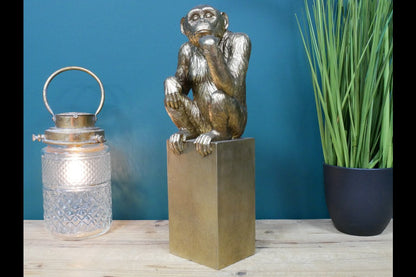 Thinking Monkey