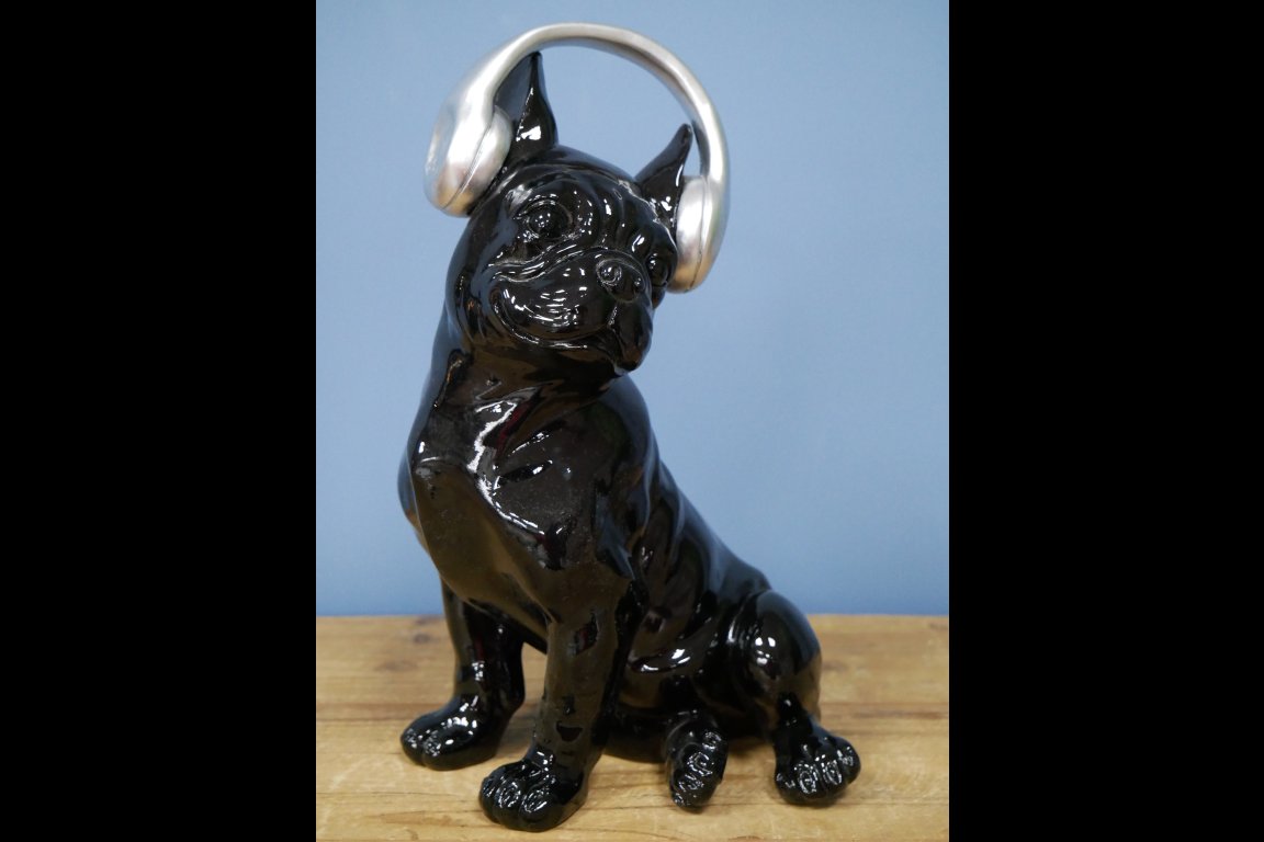 Dog With Headphones