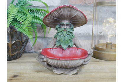 Mushroom Man