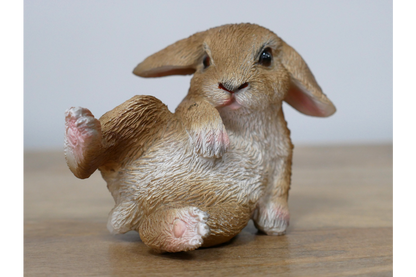 Mini Rabbits