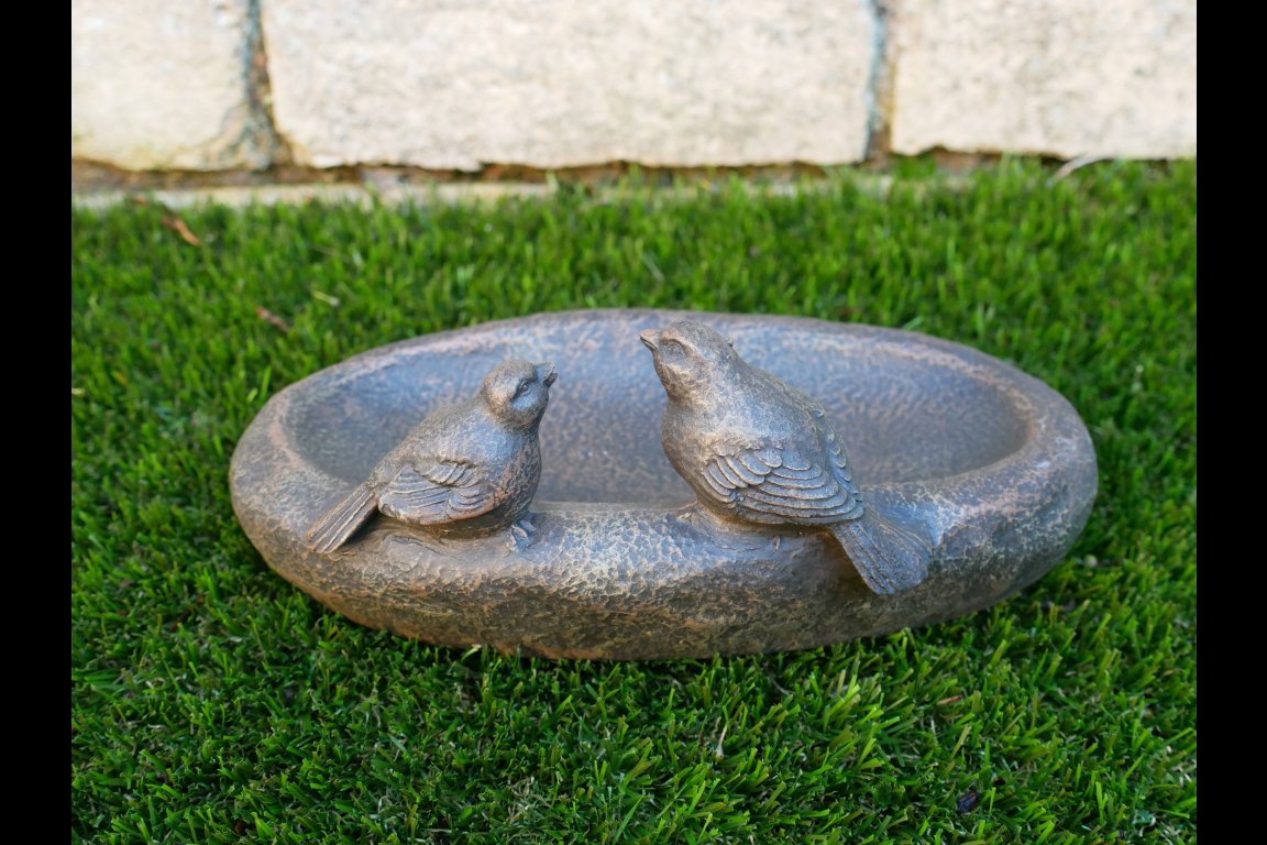 Bird Feeder