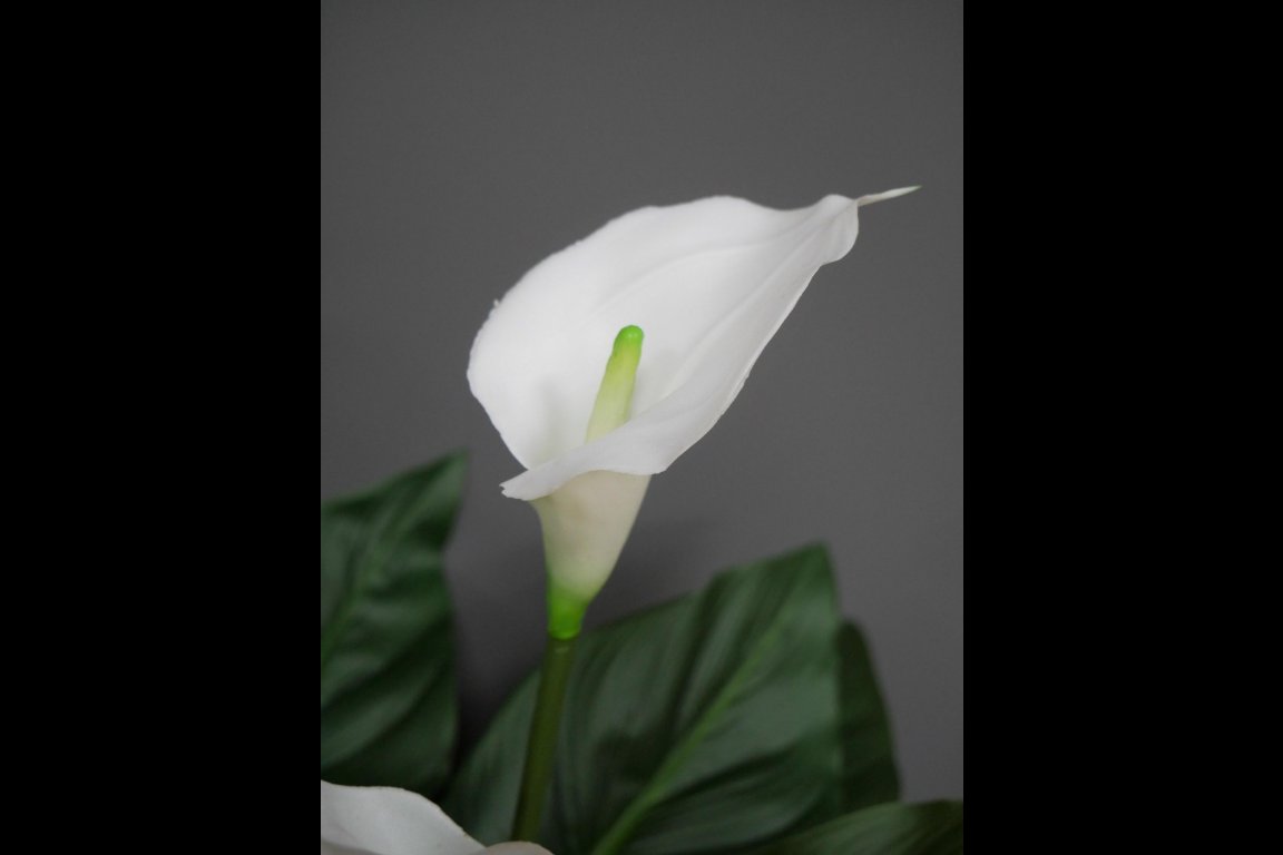 Artificial White Lily