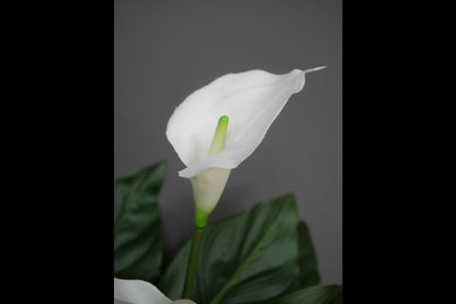 Artificial White Lily