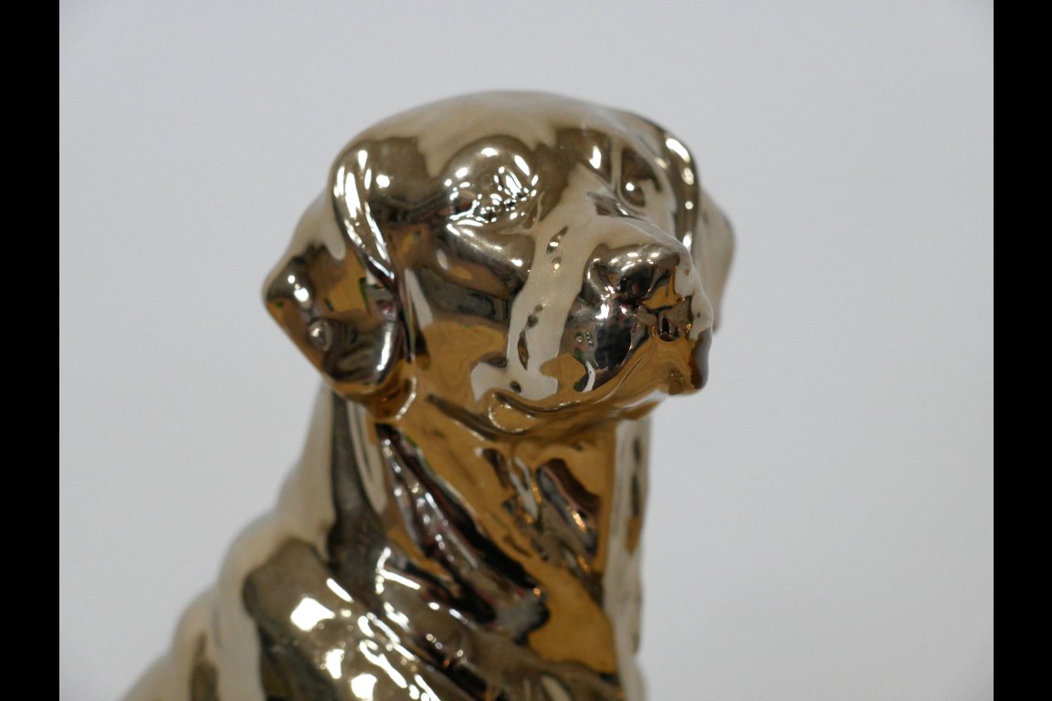 Golden Dog