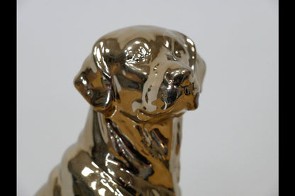 Golden Dog
