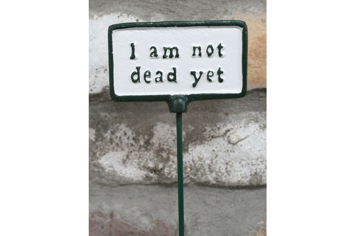 Plant Sign - Not Dead Yet