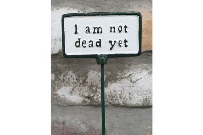 Plant Sign - Not Dead Yet