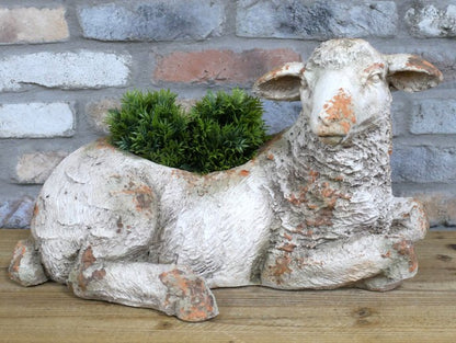 Sheep Planter