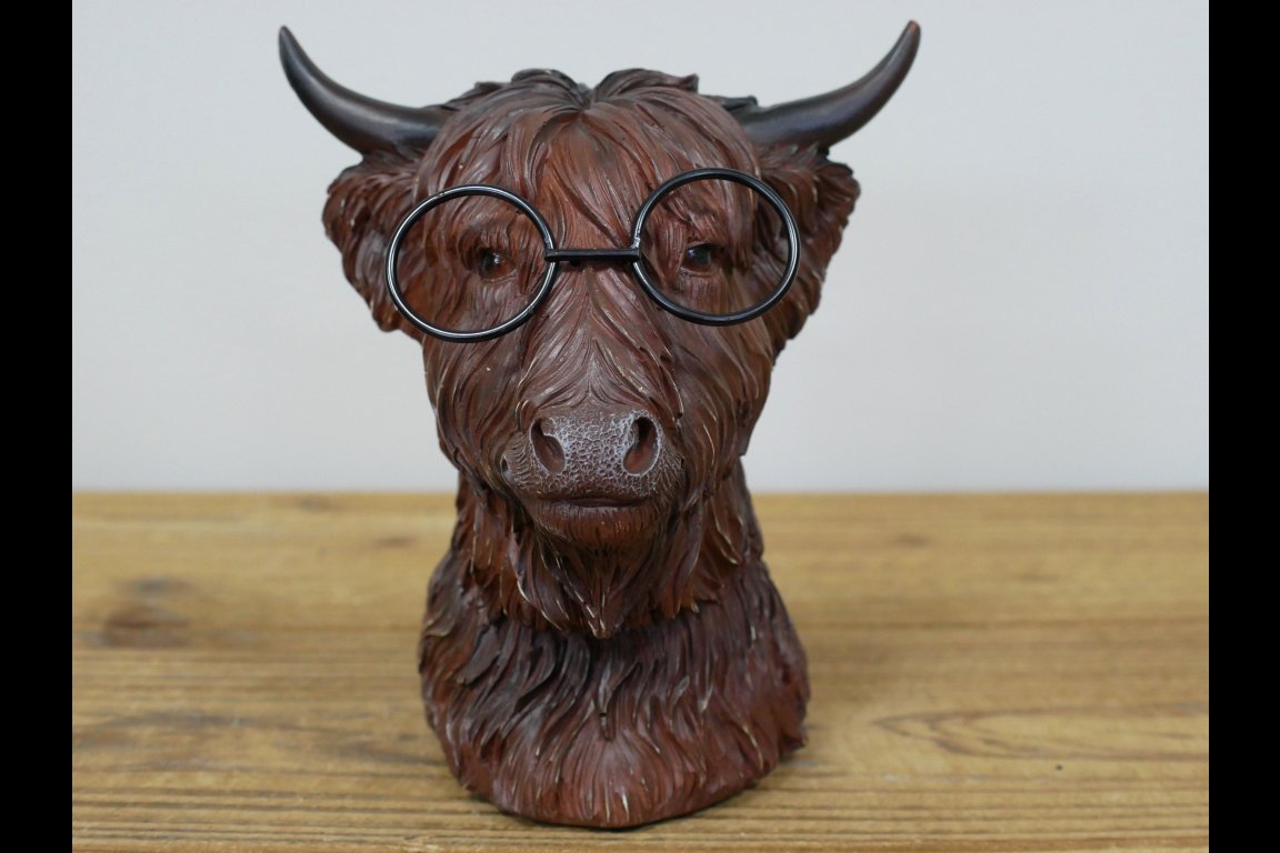 Cow Head With Glasses