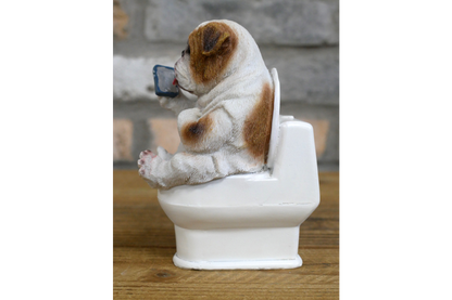 Bulldog On The Loo