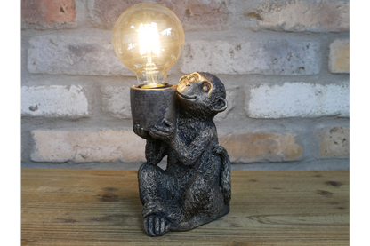 Monkey Light