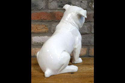 White Bulldog