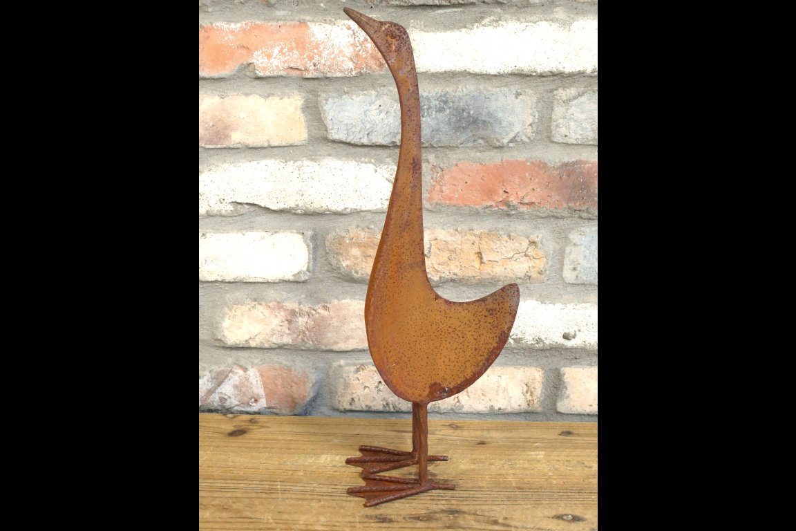 Small Rusty Bird