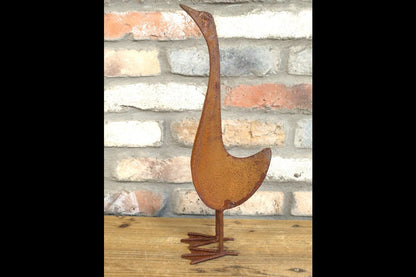 Small Rusty Bird