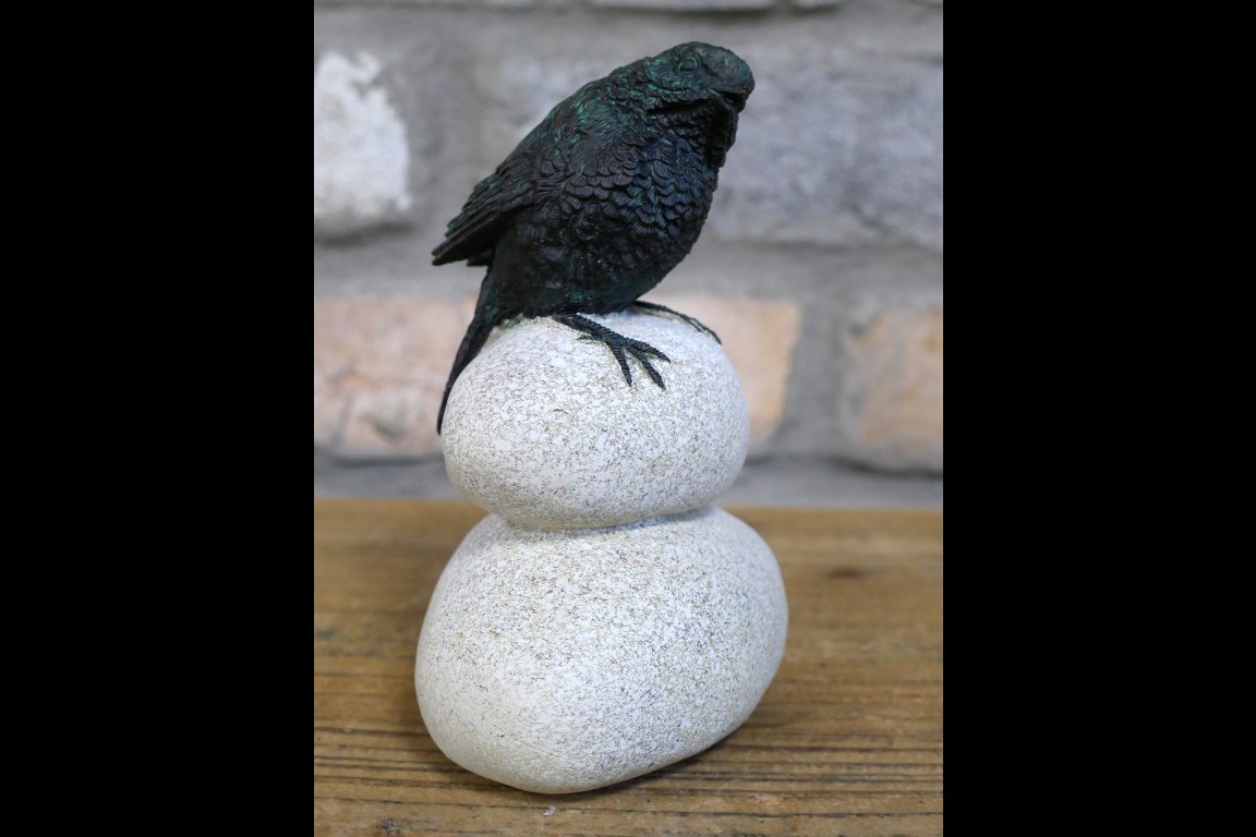 Bird Stood On Pebbles