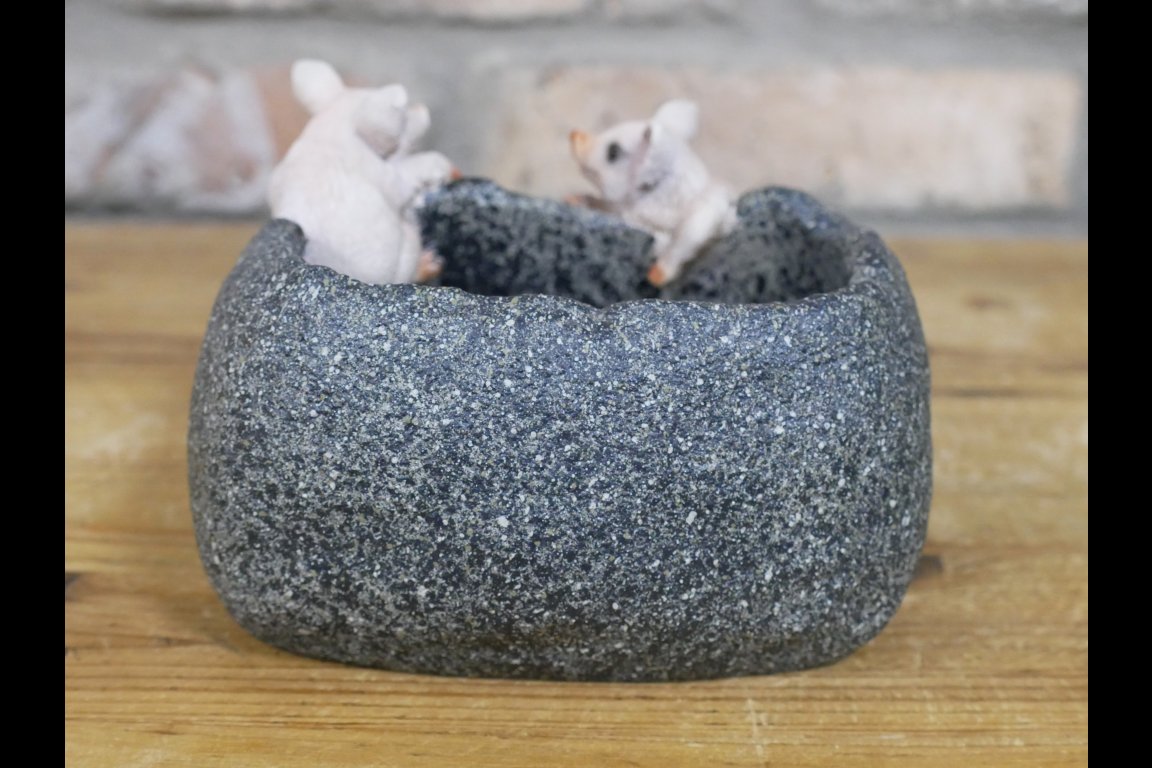 Small Pig Trough
