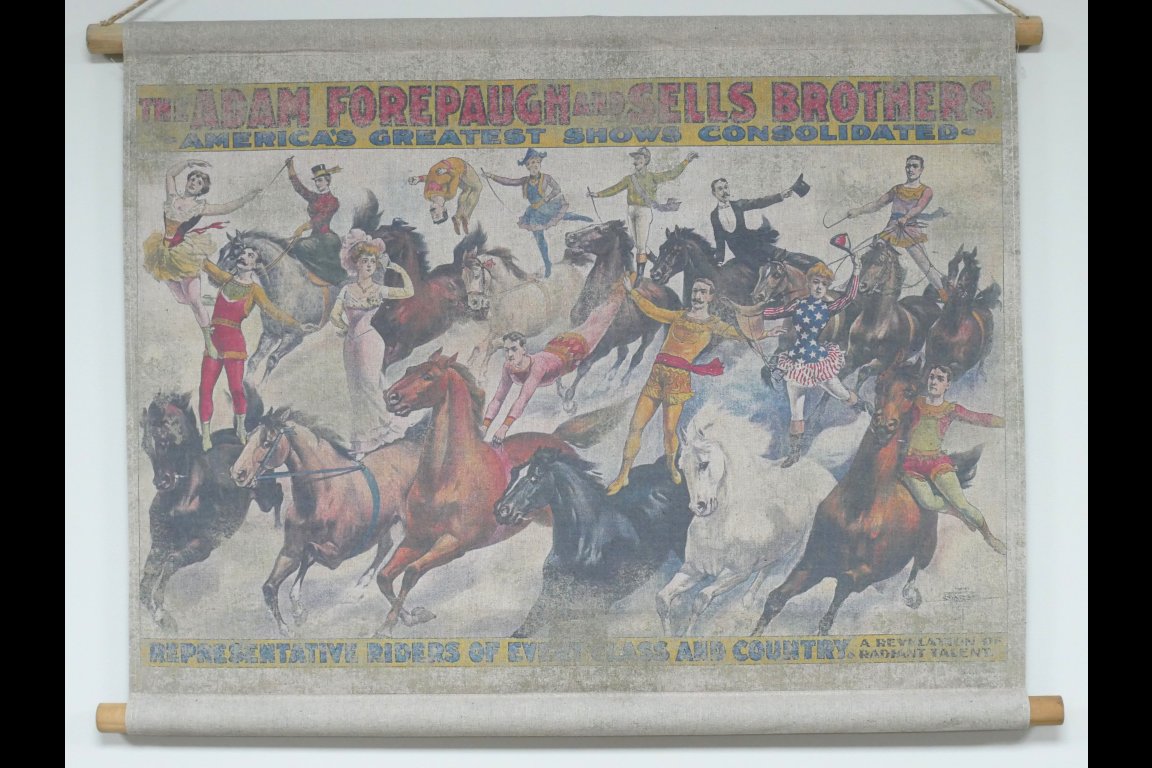 Wall Art - Horses