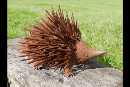 Rusty Hedgehog
