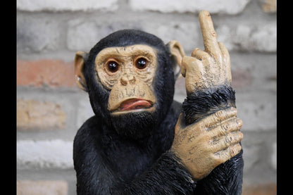 Up Yours Monkey