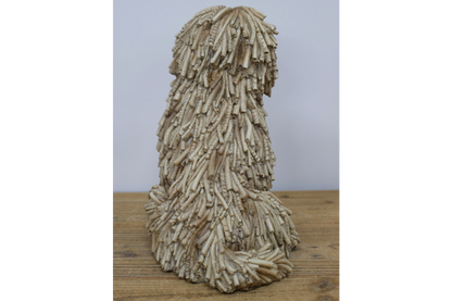 Sitting Shaggy Dog