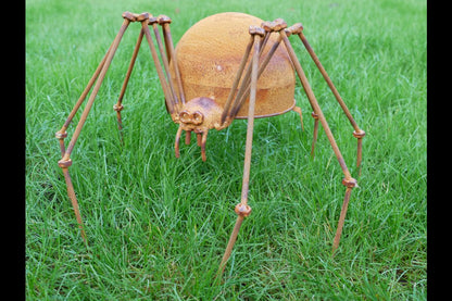 Rusty Spider