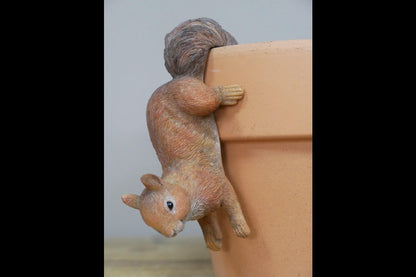 Set Of 3 Squirrel Pot Hangers