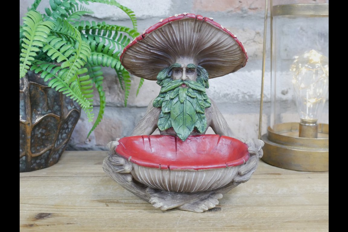 Mushroom Man
