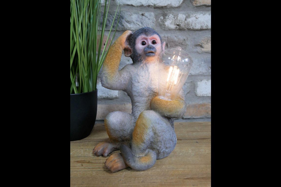 Monkey Light