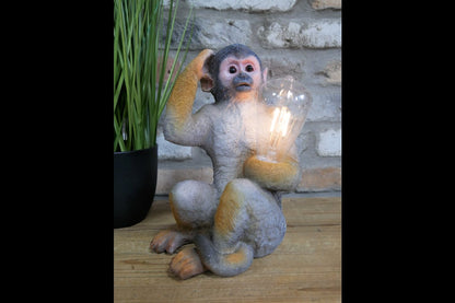 Monkey Light