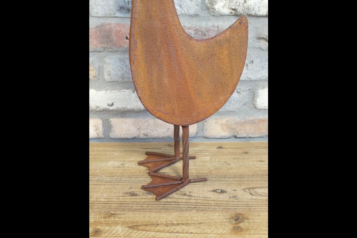 Large Rusty Bird